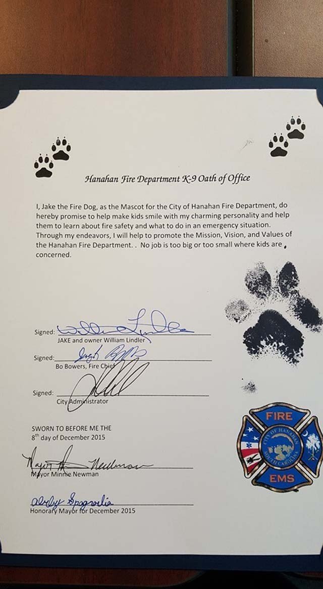 Reconocimiento como bombero honorario Bombero salvó a un Pit Bull en un incendio, lo adoptó y ahora es un perro bombero honorario