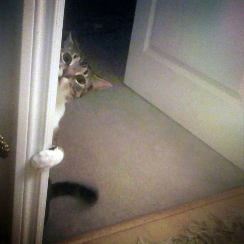 no-esperaba-verte-pronto-en-casa-1