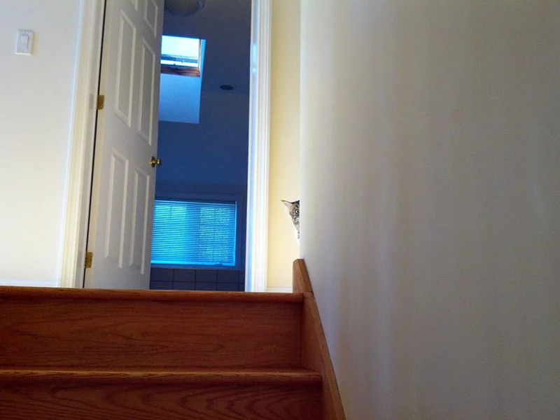 no-esperaba-verte-pronto-en-casa-3