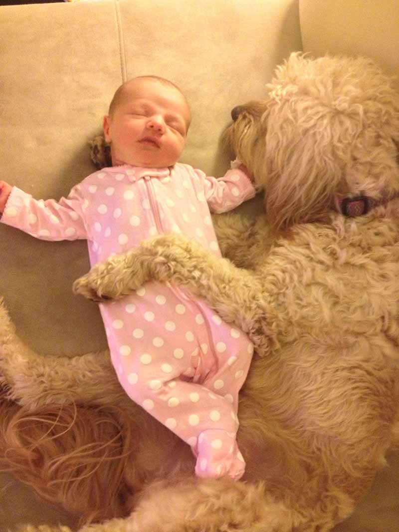 En fotos: Estos perros aman a los bebés humanos. Si vas a dar vida no abandones otra 17 perros-y-bebés-24