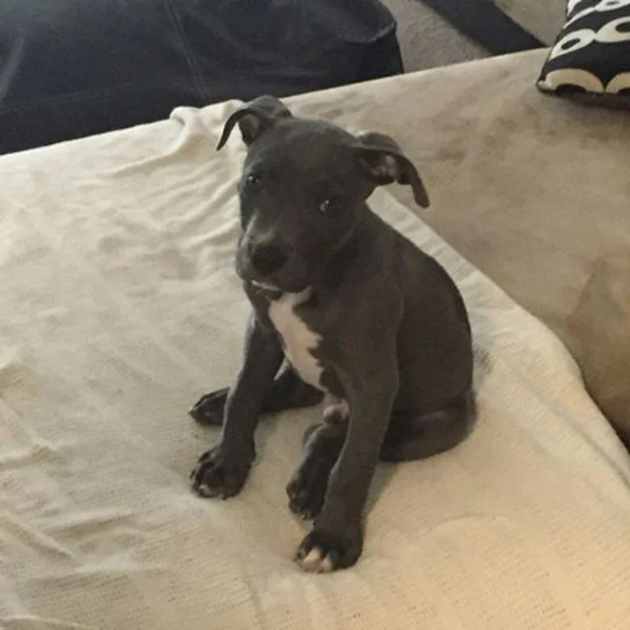 jax-escapa-de-sus-raptores jax-escapa-de-sus-raptores