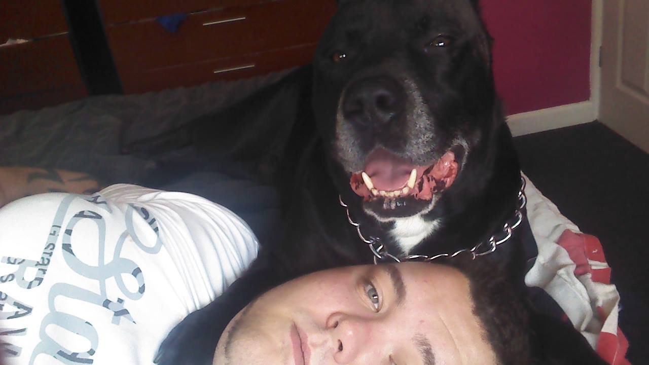 Geo feliz