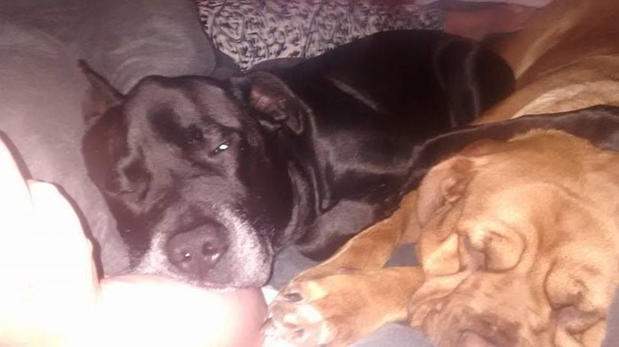 Geo y Brandy