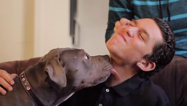 niño con autismo y su perro pitbull