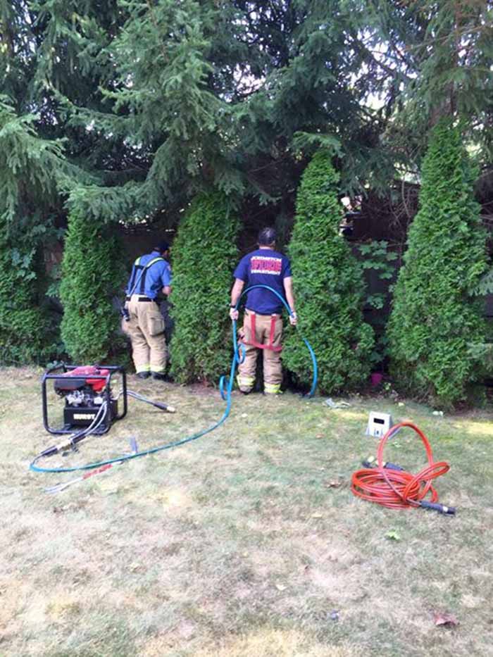 Gato recién nacido es rescatado por bomberos, estuvo atrapado por dos días 4 gato-recién-nacido-es-rescatado-por-bomberos-2