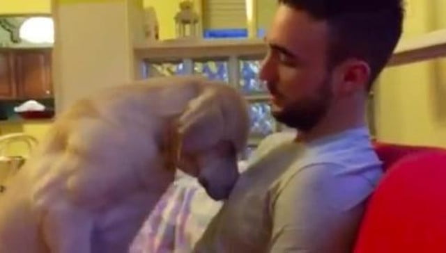 Perro arrepentido pide perdón con un abrazo