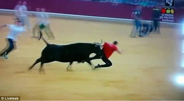 Hombre humillado después de que el toro lo dejó desnudo