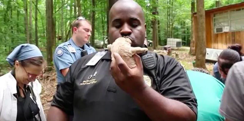 Rescatan perros de una fábrica de cachorros