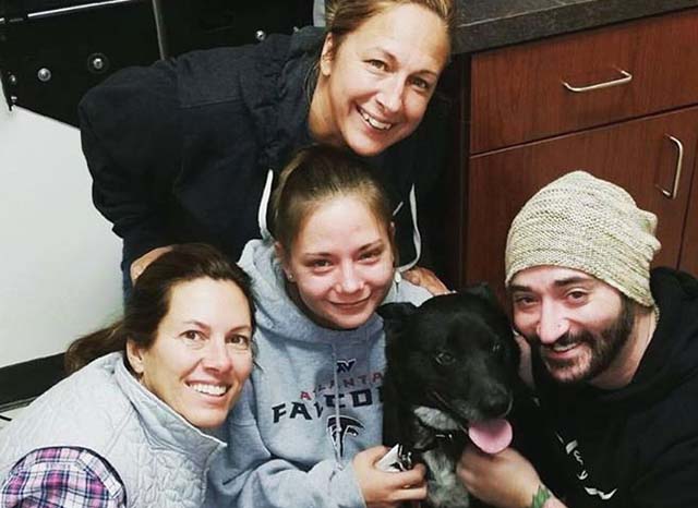 encuentran a su perro perdido después de dos años encuentran a su perro perdido después de dos años