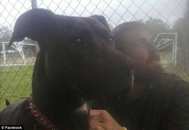 hombre sin hogar rescata a su perro de un refugio hombre sin hogar rescata a su perro de un refugio
