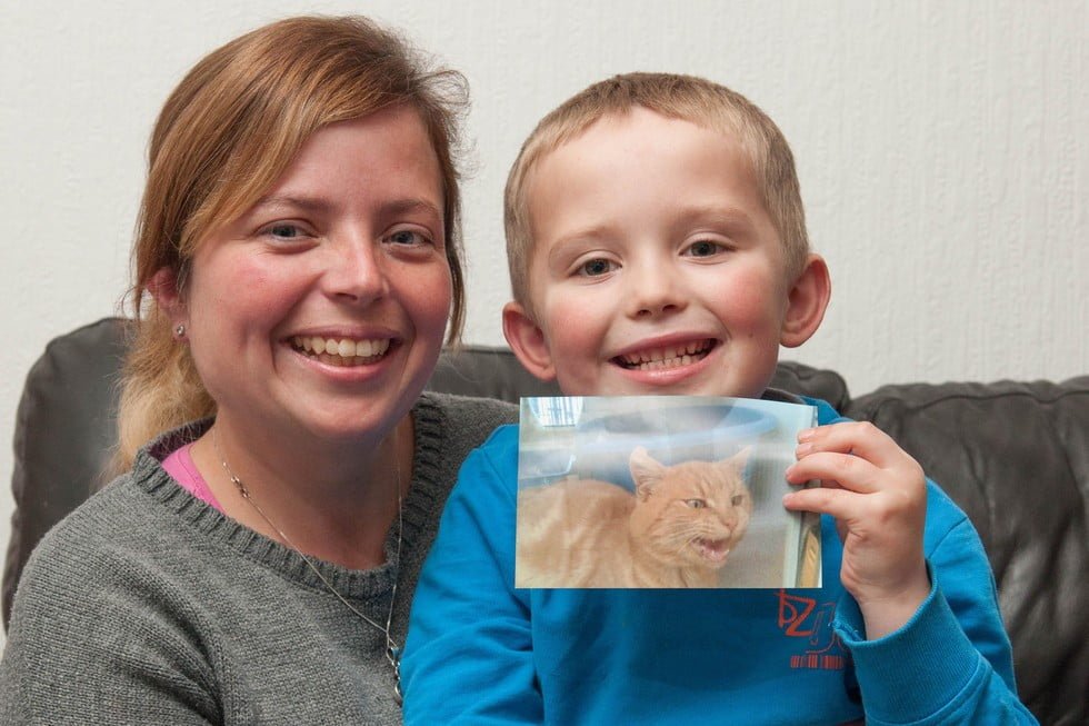 Reacción de un niño cuando encuentra a su gato perdido 4 reacción-de-un-niño-encuentra-gato-2