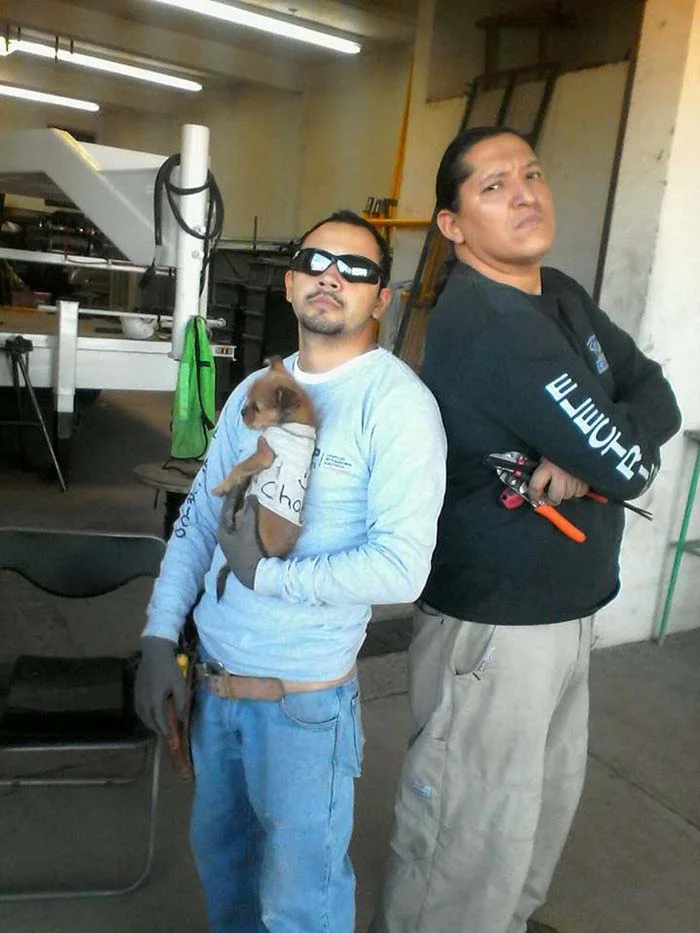 Chalán y sus rescatistas