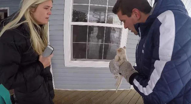 familia encontró a un gato congelado