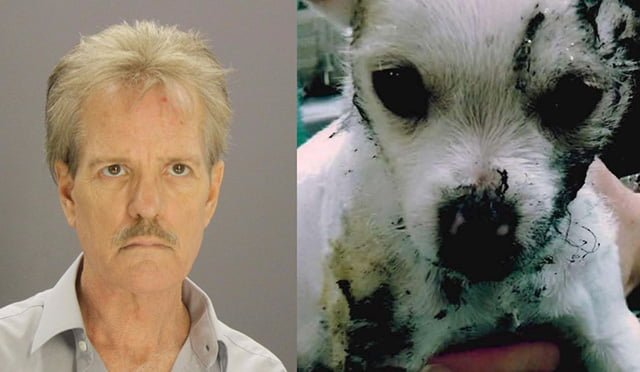 hombre que quemó a su cachorro en la estufa fue sentenciado