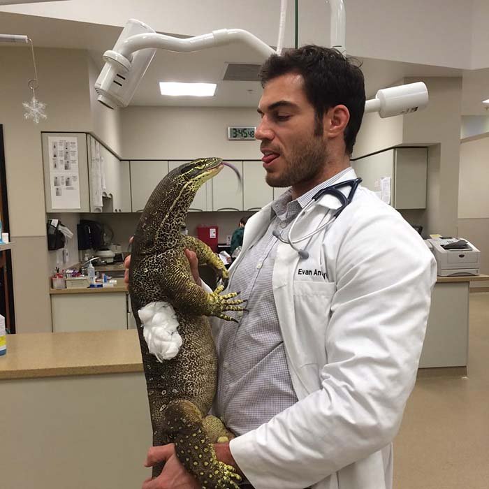 Evan y un reptil Evan y un reptil