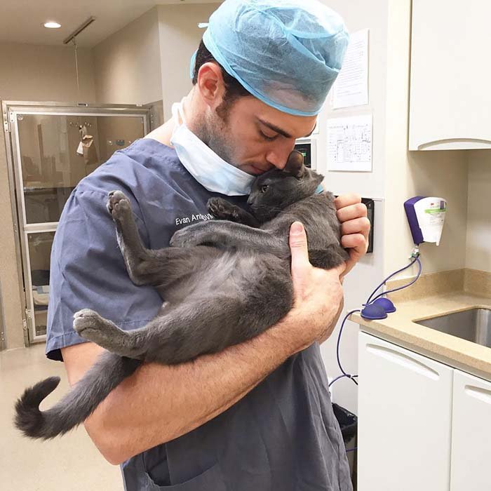 Veterinario abraza a un gato Veterinario abraza a un gato