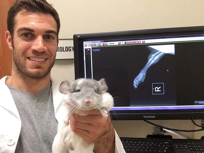 Veterinario y un roedor