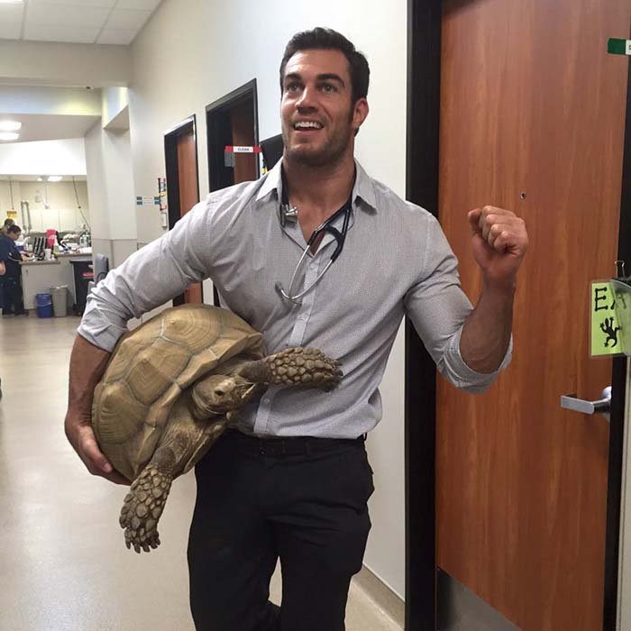 Veterinario y una tortuga Veterinario y una tortuga