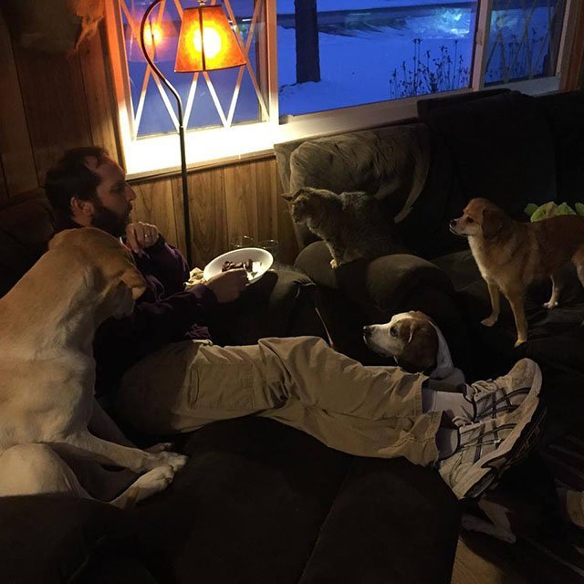 Wiz en su hogar para siempre