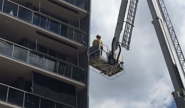 gato atrapado en un balcón
