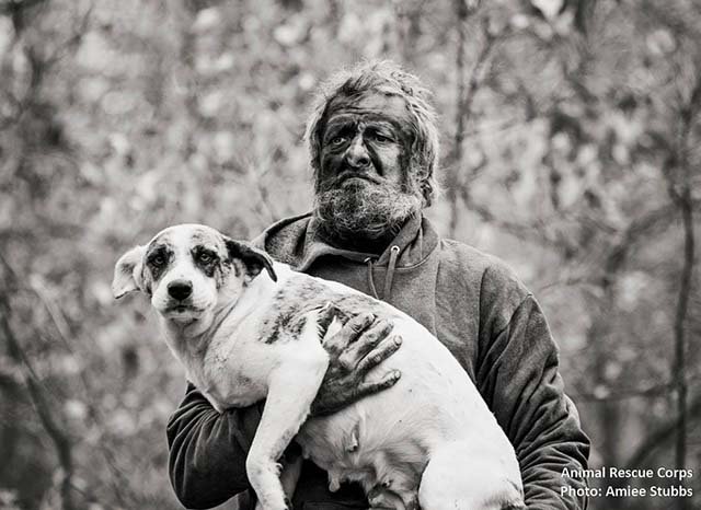 hombre salvaje vivía con 31 perros hombre salvaje vivía con 31 perros