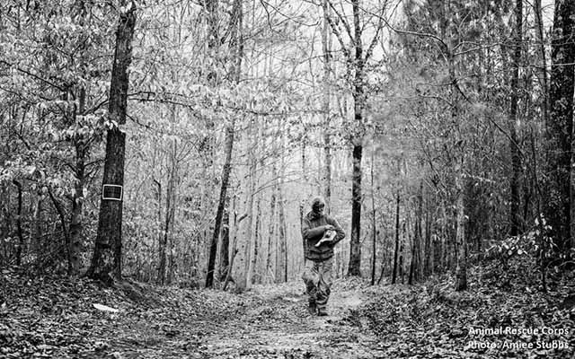 hombre vivió 16 años en el bosque con perros hombre vivió 16 años en el bosque con perros