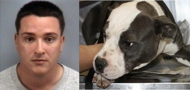 obtuvo la pena máxima por asesinar a su perro obtuvo la pena máxima por asesinar a su perro