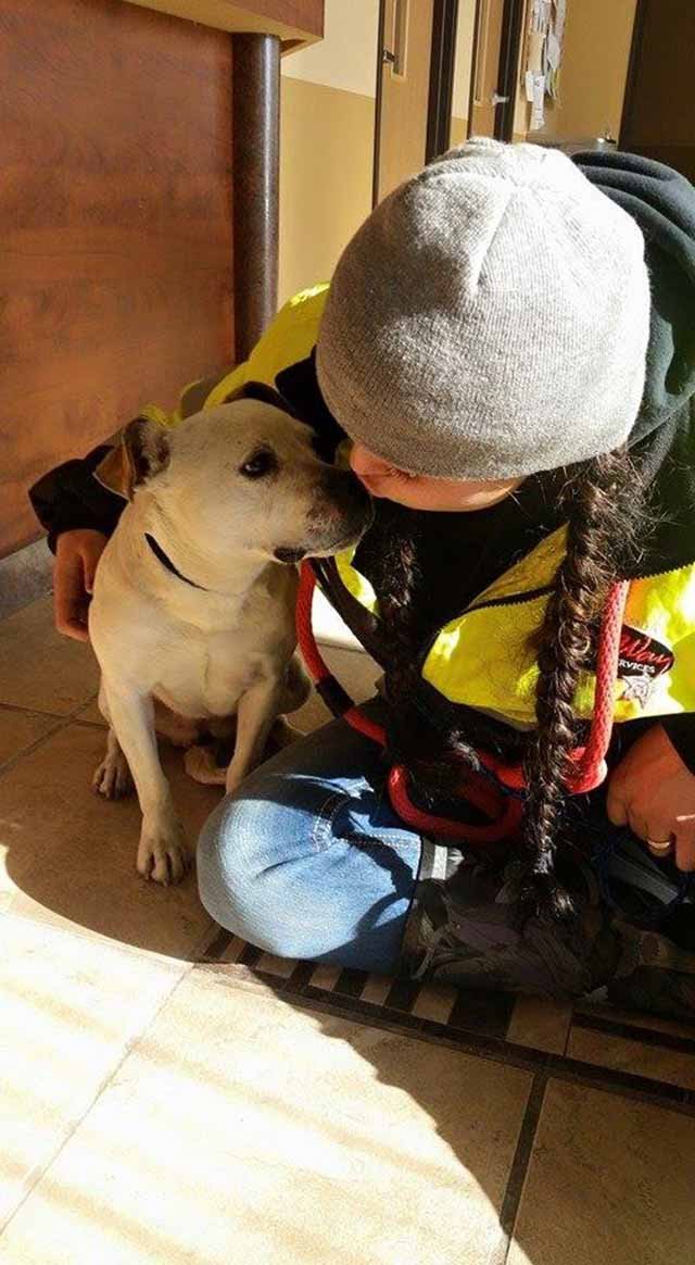 perro rescatado de casa quemada