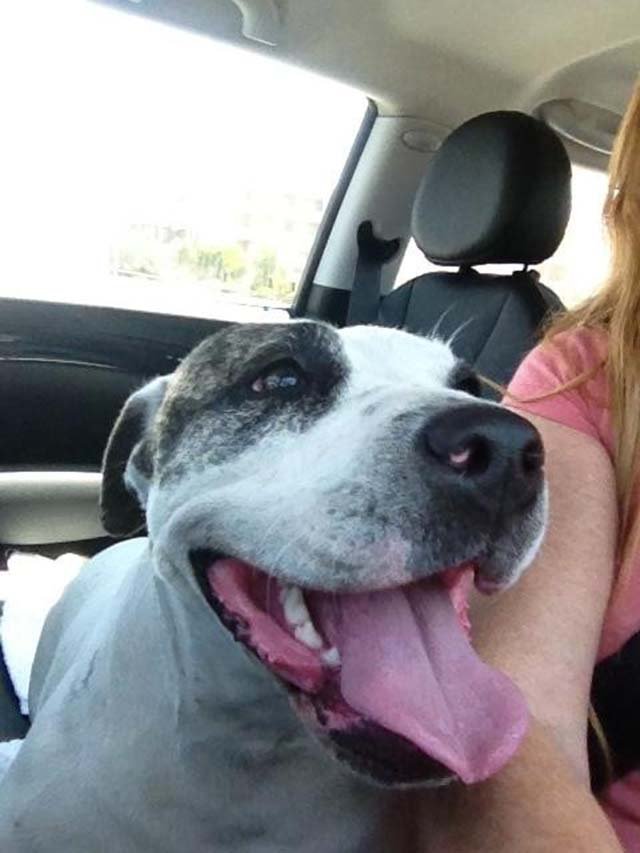 Clarissa en el auto