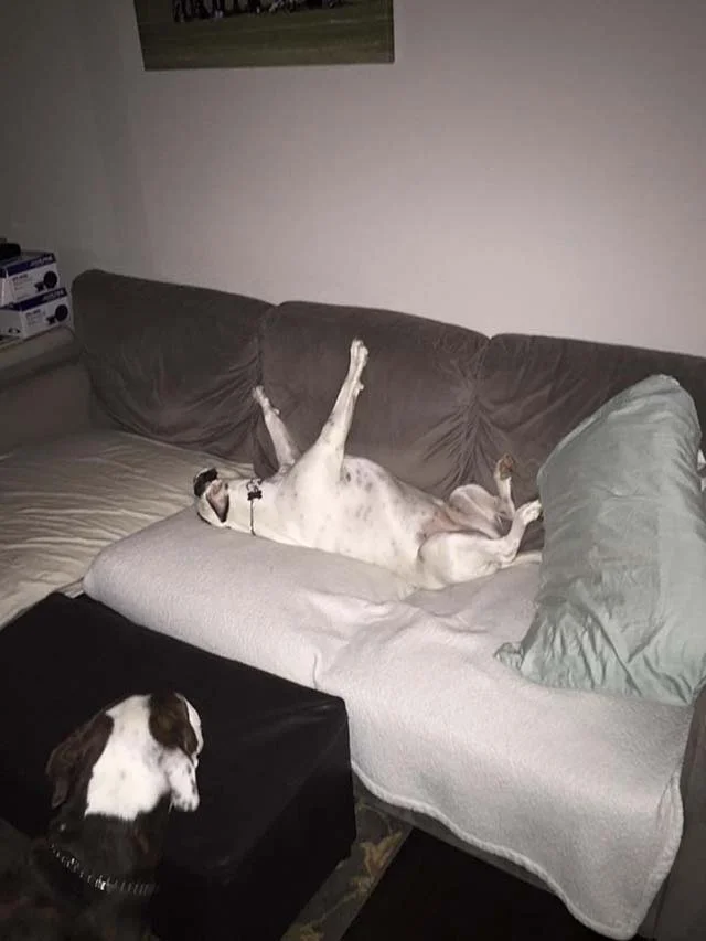 Clarissa en el sofá