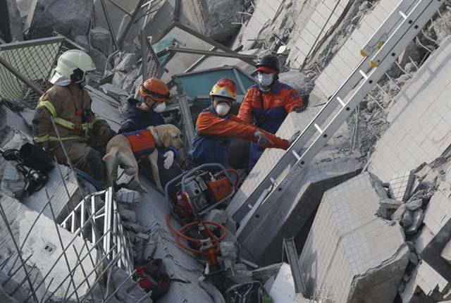 Cuerpo de rescate canino Cuerpo de rescate canino