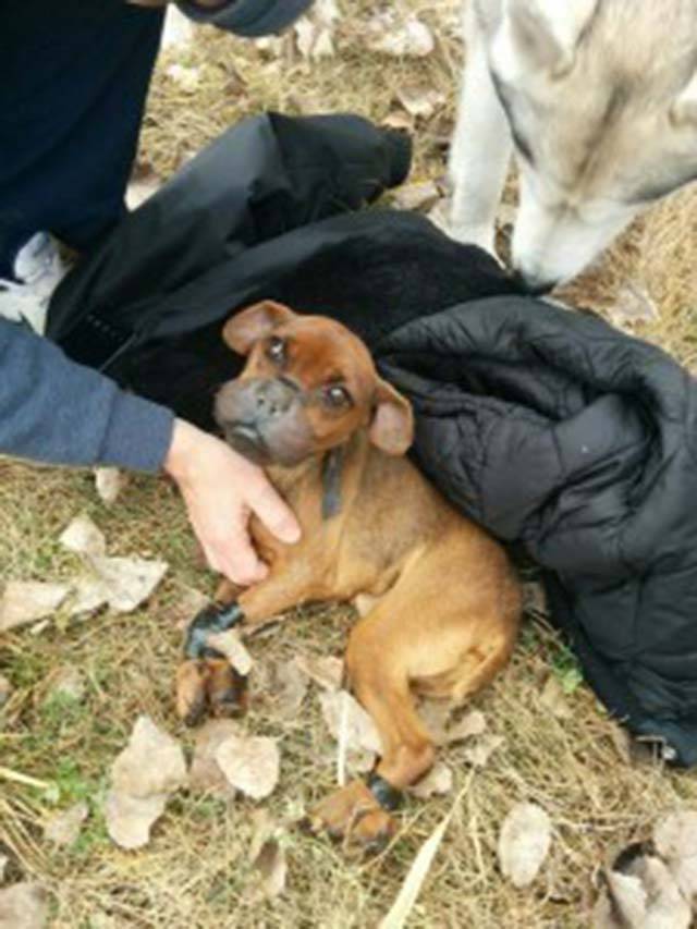 Encontrado atado con cinta aislante