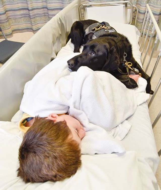 Niño con autismo y perro de asistencia