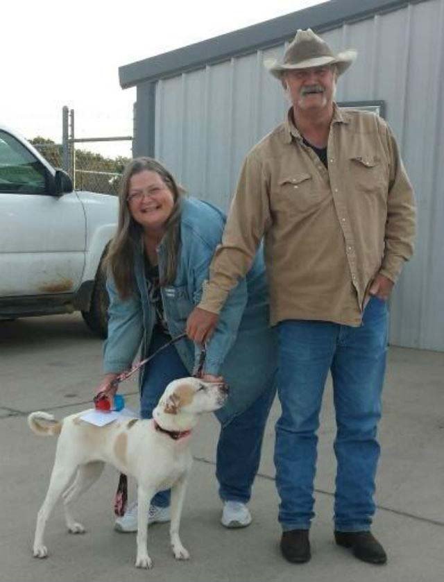 Nueva familia de Snickers Nueva familia de Snickers
