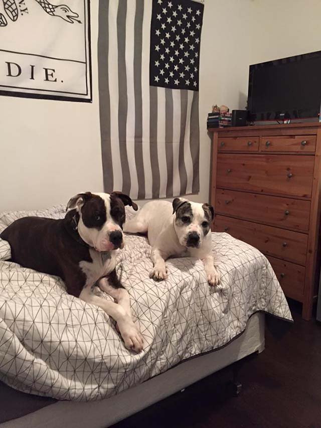 Penny y Clarissa