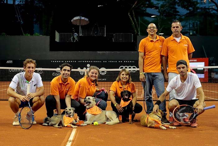 Perros en el abierto de Sao Paulo