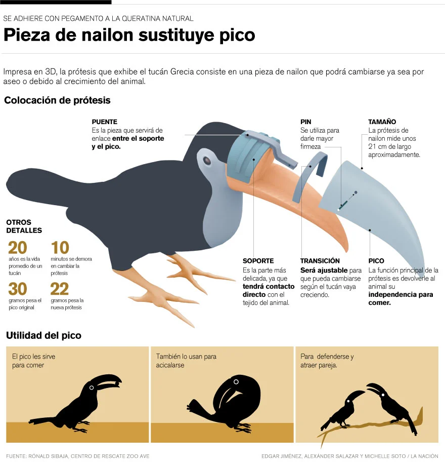 Prótesis del tucán