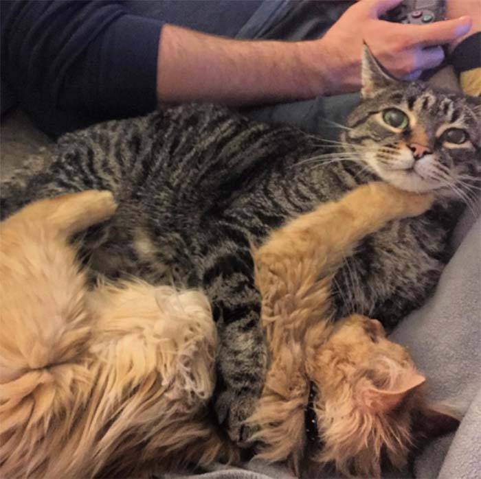 Rey y su hermano