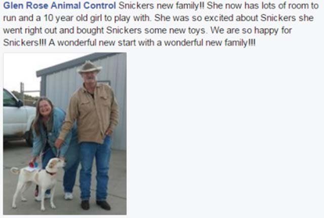 Snickers y su nueva familia