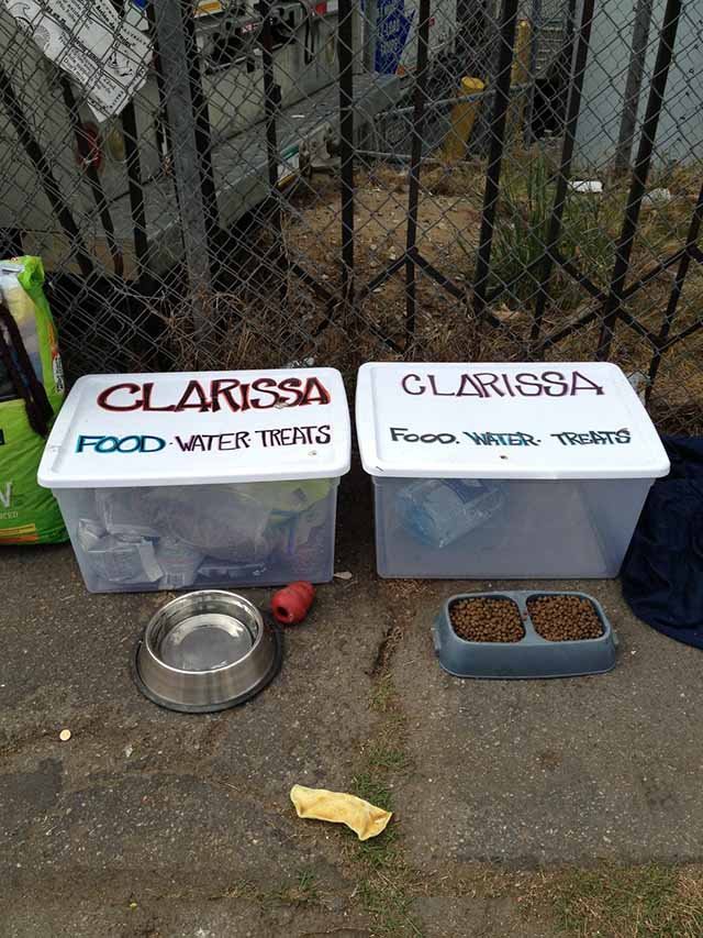 comida de Clarissa