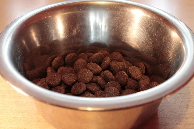 comida perro
