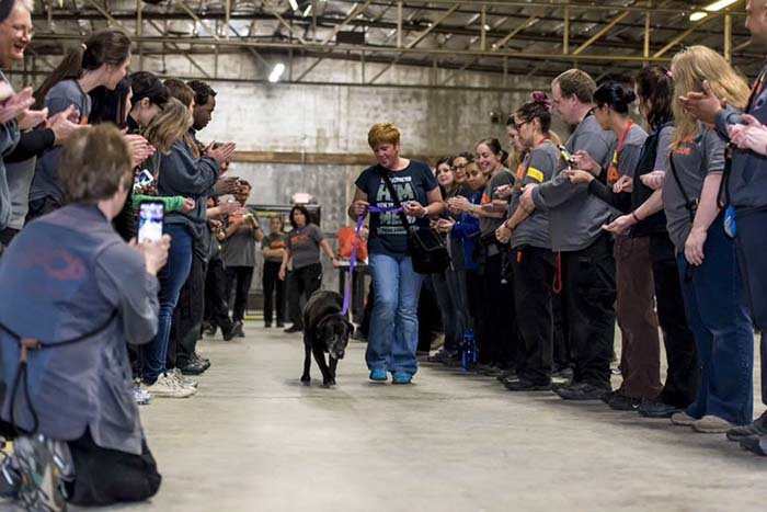 último perro adoptado en evento último perro adoptado en evento