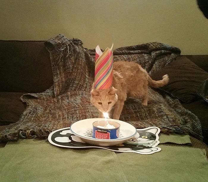 Cumpleaños de Tigger