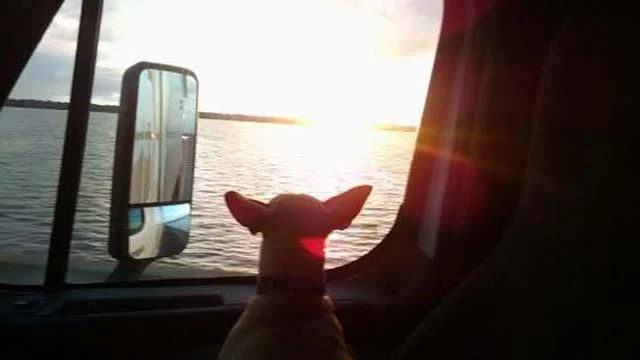 Diesel viajando