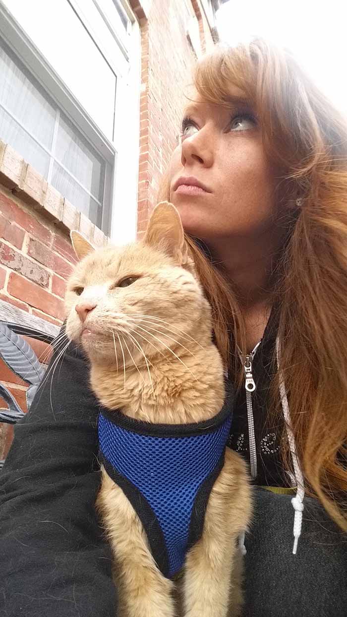 Mujer rescató un gato de 21 años Mujer rescató un gato de 21 años