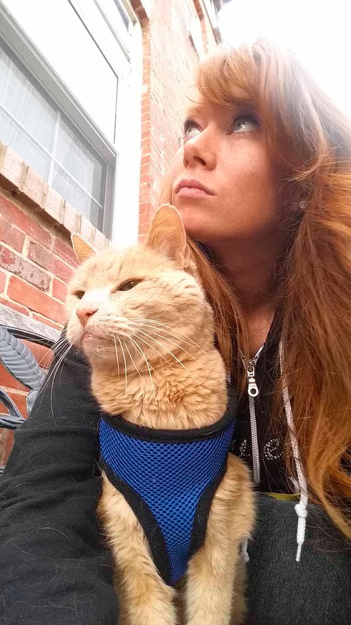 Mujer rescató un gato de 21 años