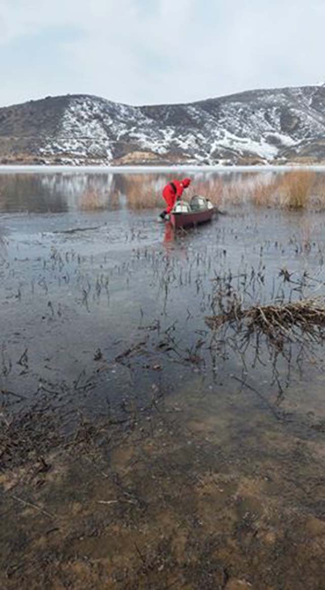 Perra rescatada de un lago congelado