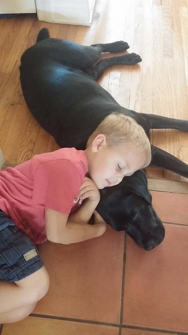 Perro cuida de niño con diabetes Perro cuida de niño con diabetes