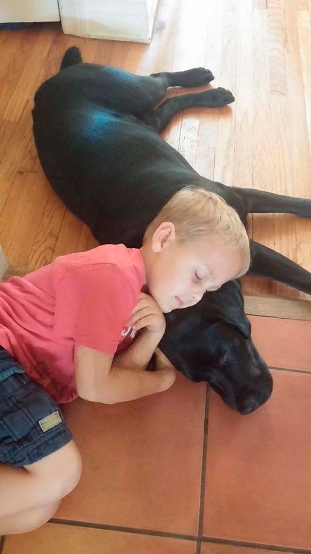 Perro cuida de niño con diabetes