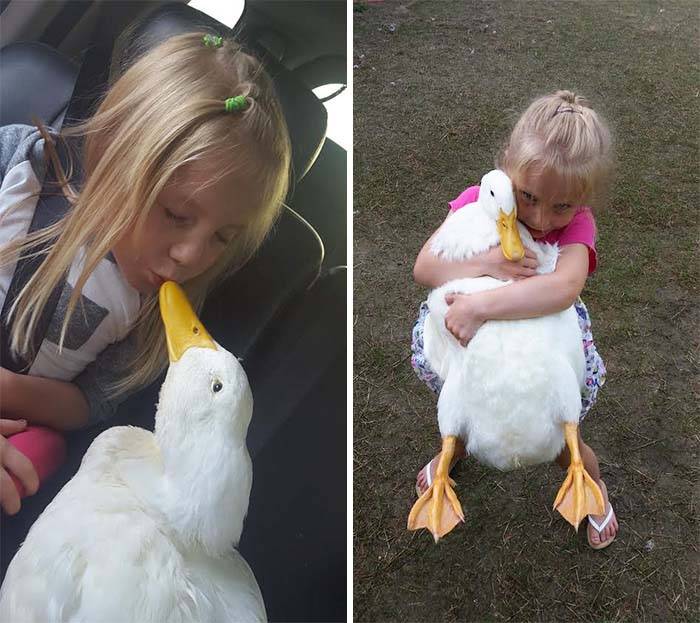 kylie y su pato kylie y su pato